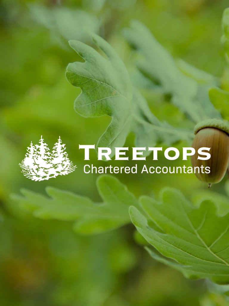 seo case study for local accounting firm