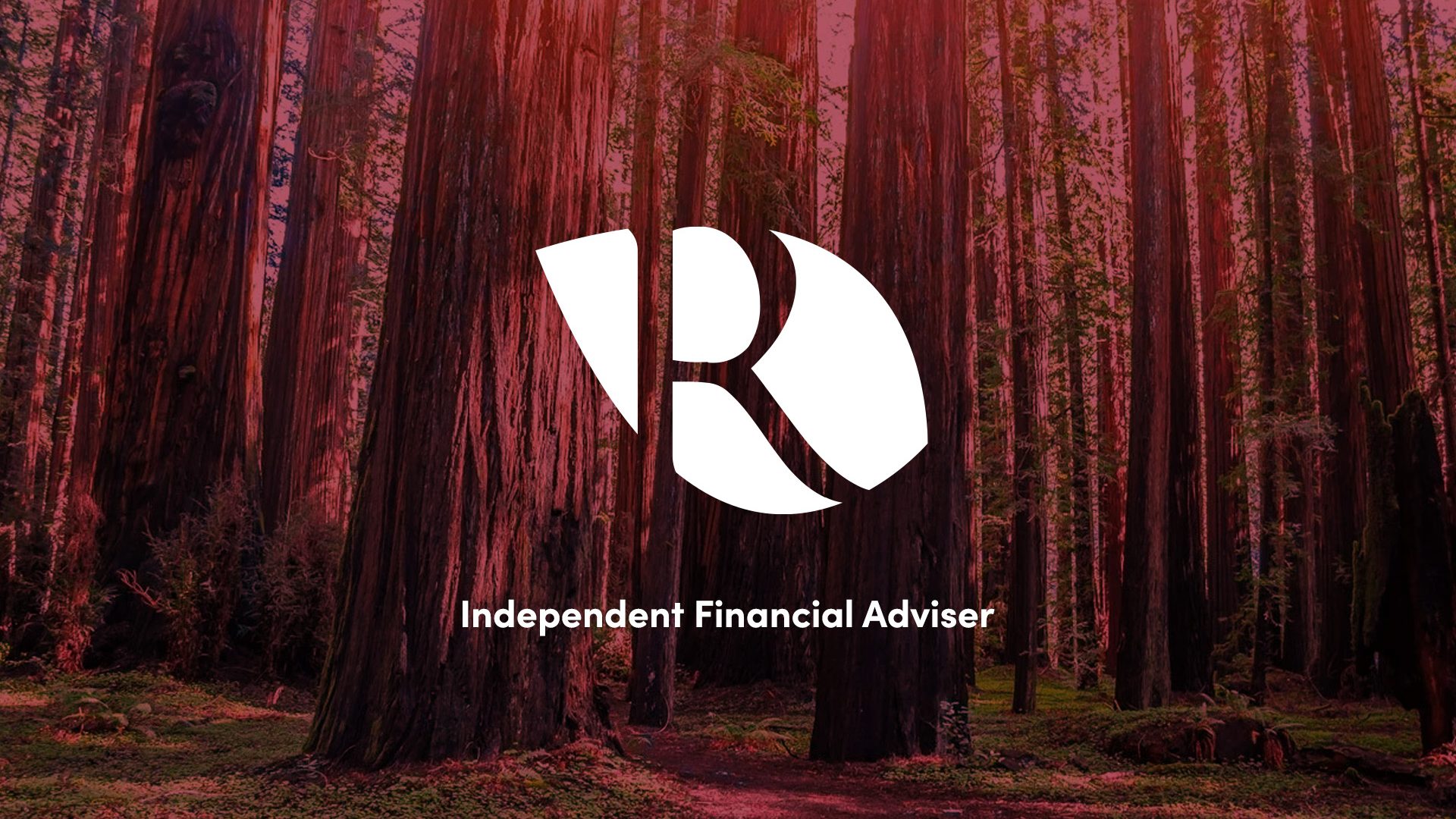 seo case study for independent financial advisor