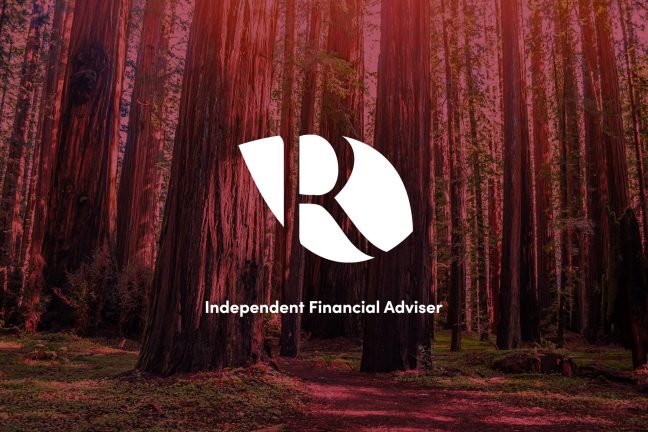 seo case study for independent financial advisor