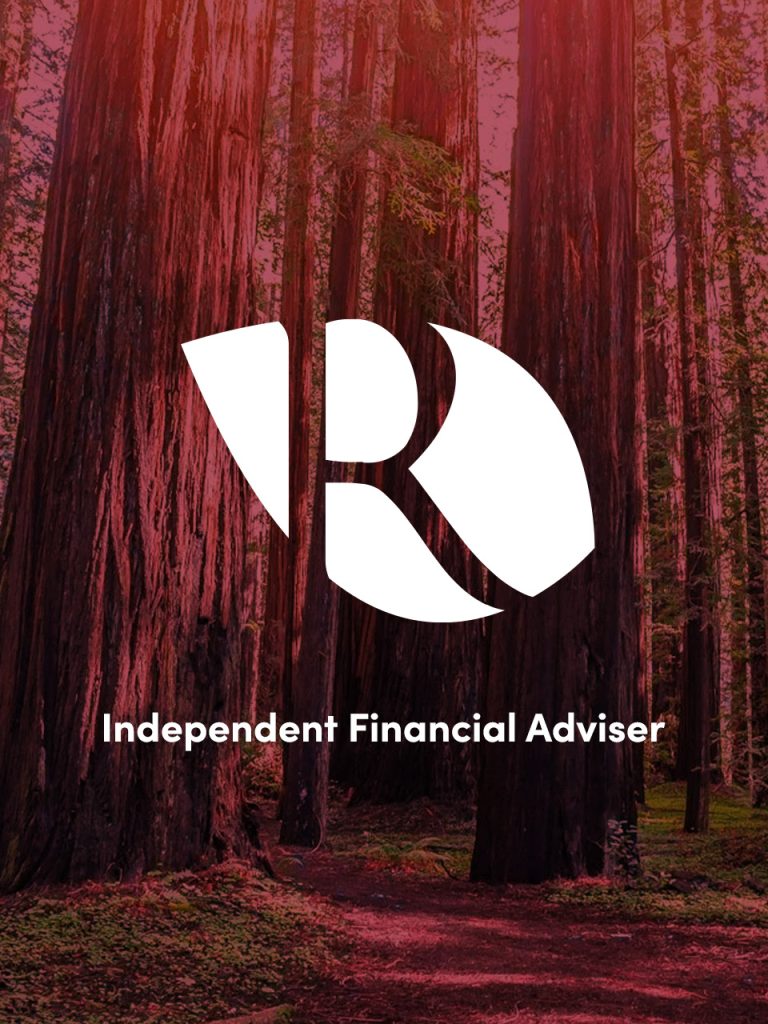 seo case study for independent financial advisor