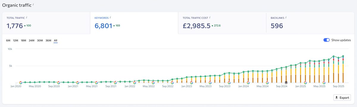 website and seo results for accounting firm