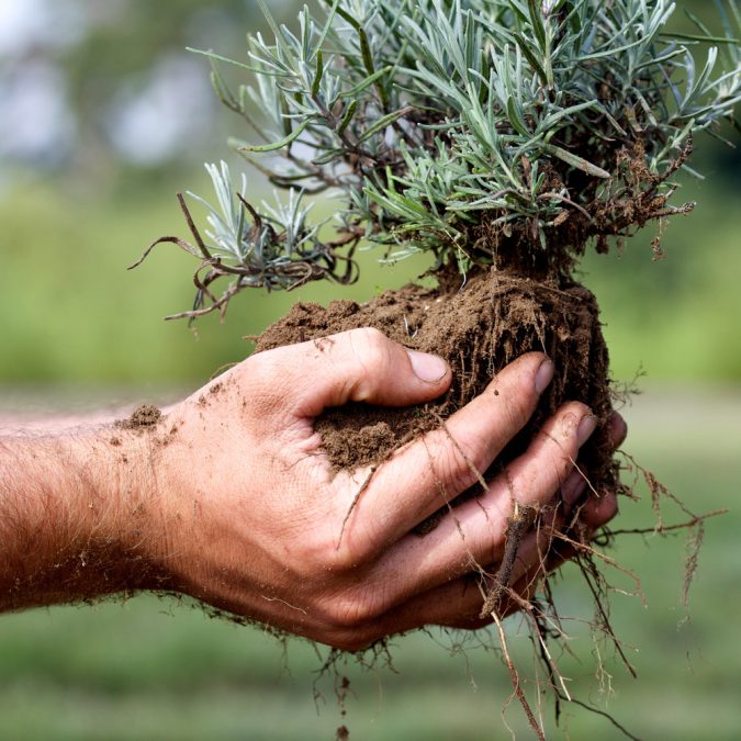 seo for lanscape gardeners